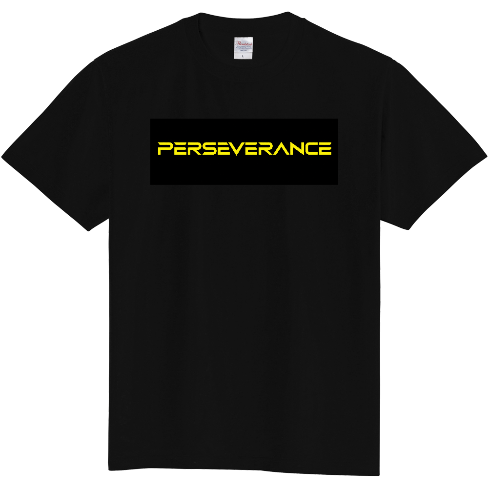 PERSEVERANCE