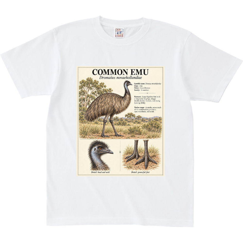 Z∞∞ ANIMAL FIELD GUIDE 04|COMMON EMU BIG SIZE/エミュー