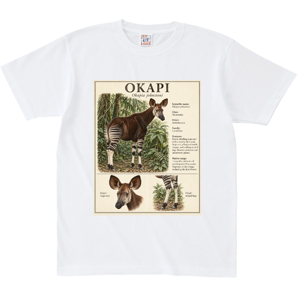 Z∞∞ ANIMAL FIELD GUIDE 05|OKAPI BIG SIZE/オカピ