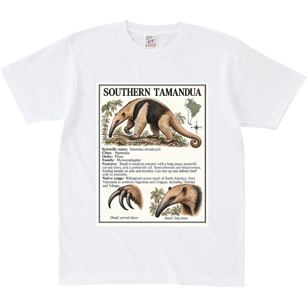 Z∞∞ ANIMAL FIELD GUIDE 01|SOUTHERN TAMANDUA/ ミナミコアリクイ