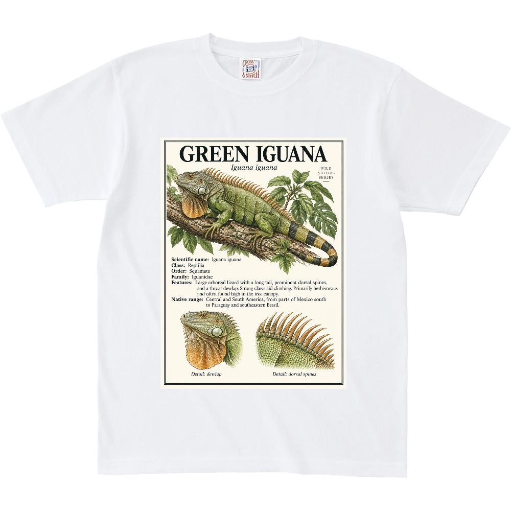 Z∞∞ ANIMAL FIELD GUIDE 02|GREEN IGUANA/ グリーンイグアナ
