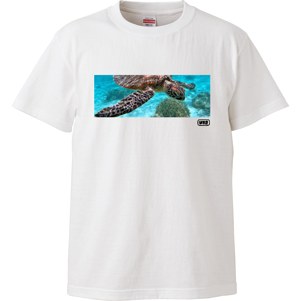 Turtle in sea【260922002】（ホワイト）