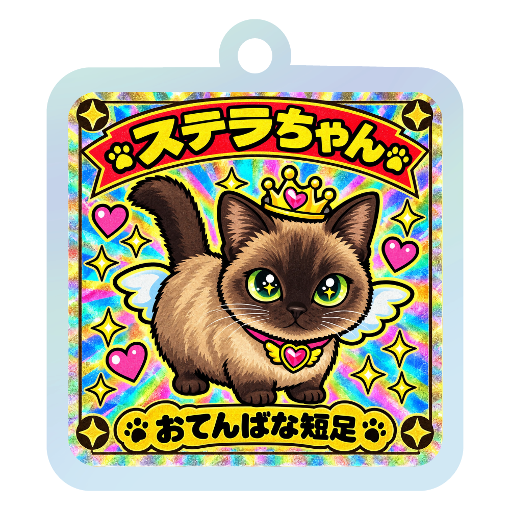 短足シャム猫ステラちゃん