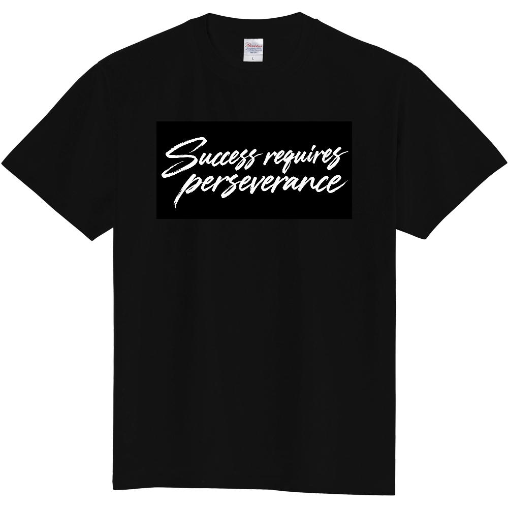 Success requires perseverance