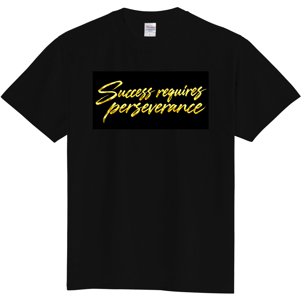 Success requires perseverance