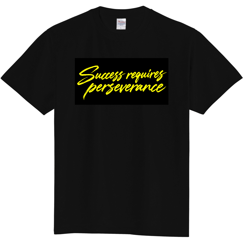 Success requires perseverance