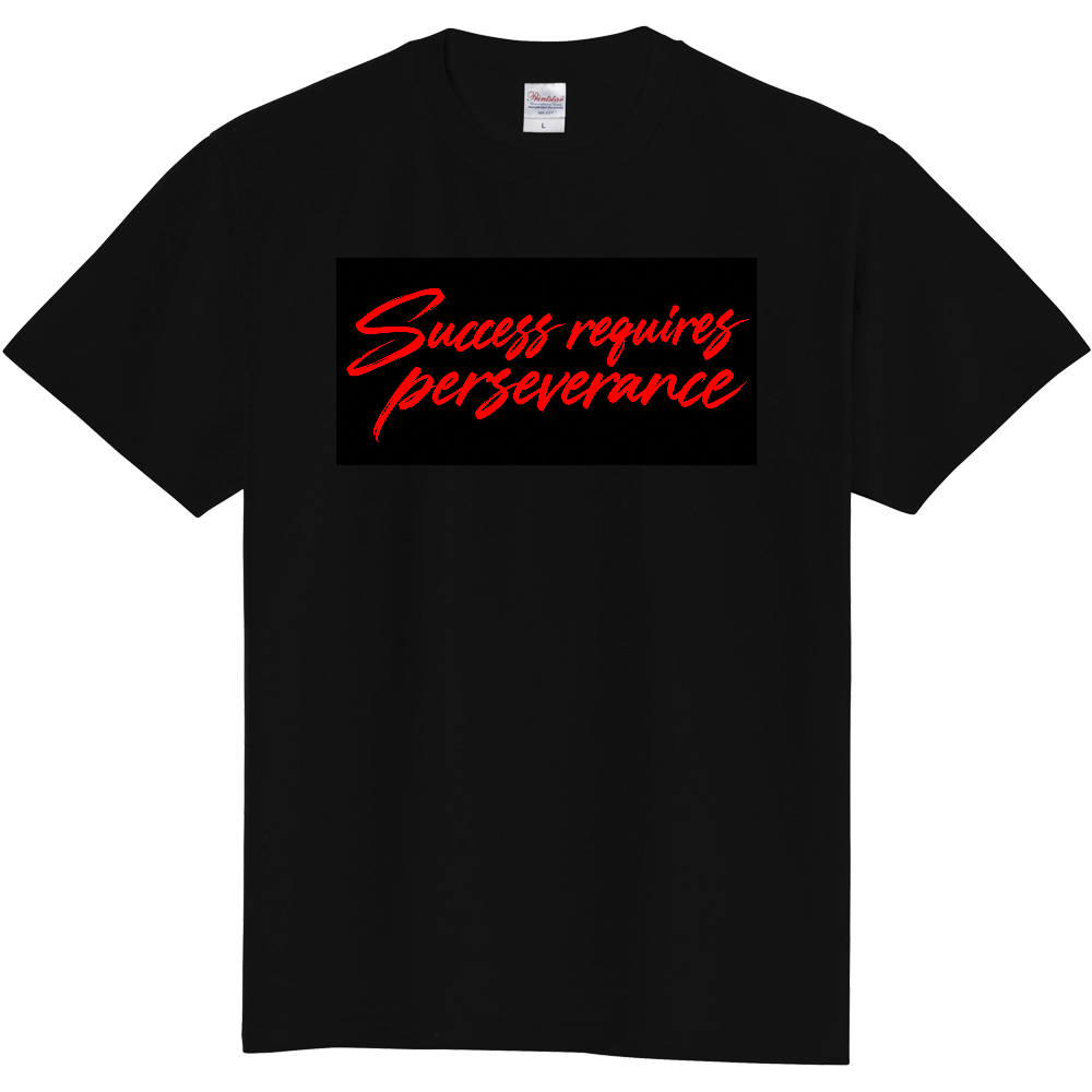 Success requires perseverance