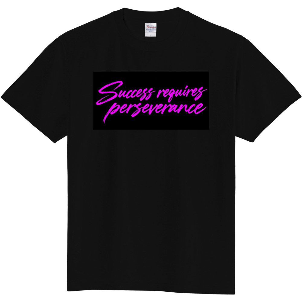 Success requires perseverance