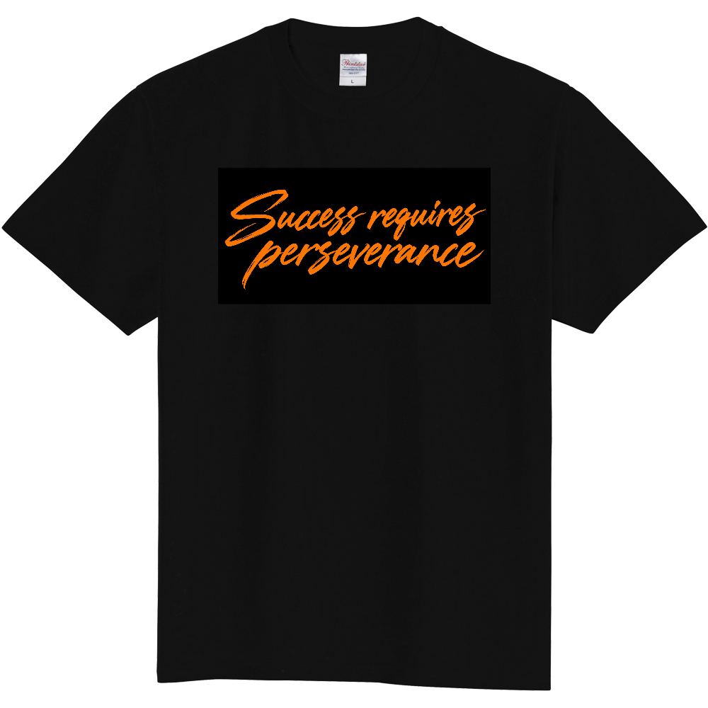 Success requires perseverance