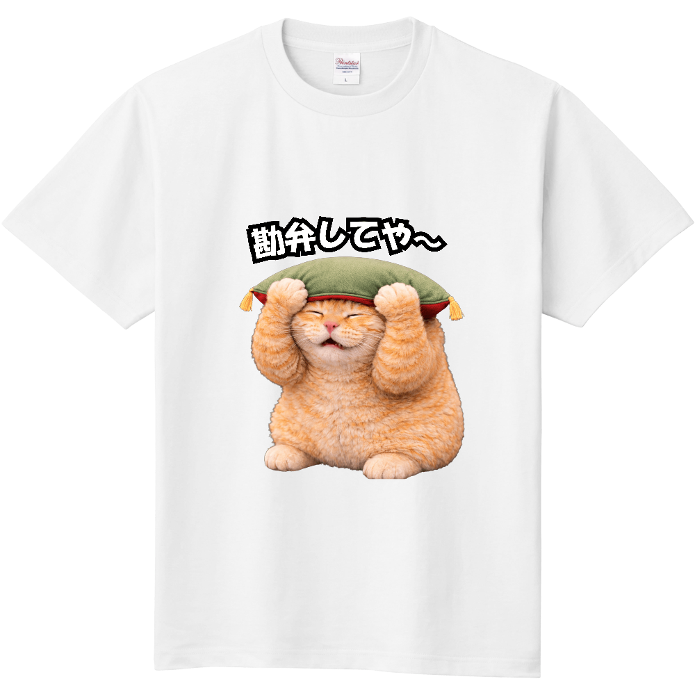 勘弁してや~|おびえるぐうたらねこ