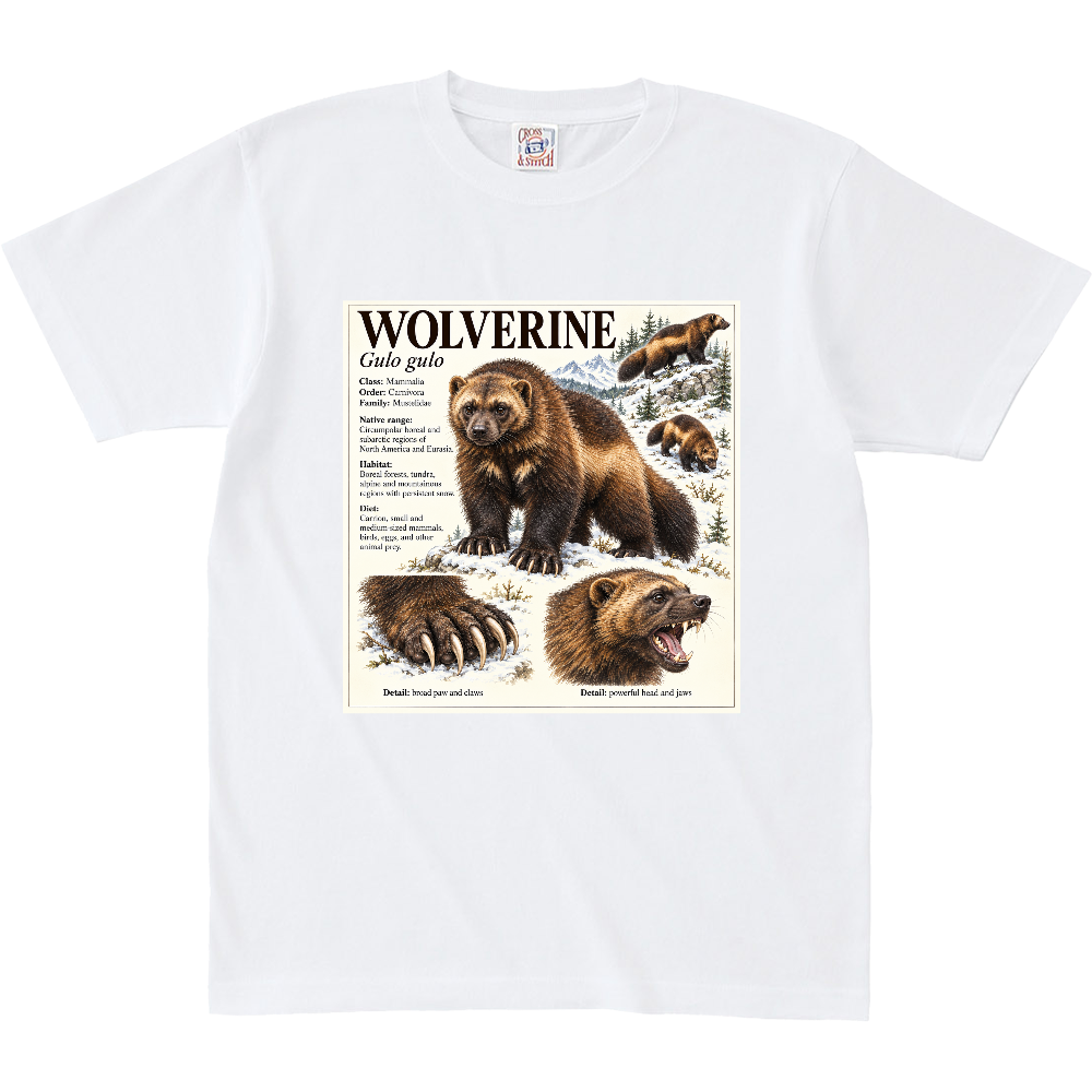 Z∞∞ ANIMAL FIELD GUIDE 08|WOLVERINE/クズリ