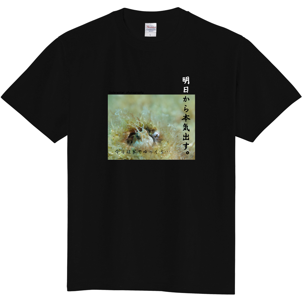 No.007