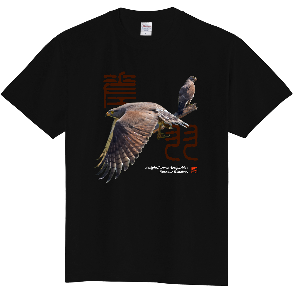 サシバTシャツ