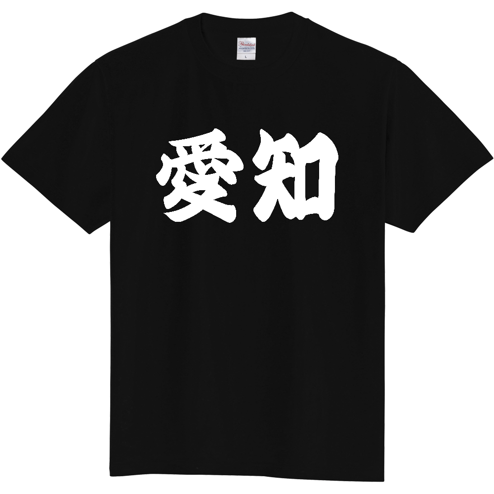 【都道府県】  「愛知」 和風 極太毛筆 白文字 Tシャツ [愛知県]