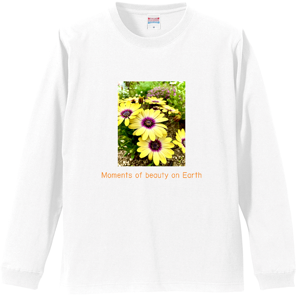Moments of beauty on Earth