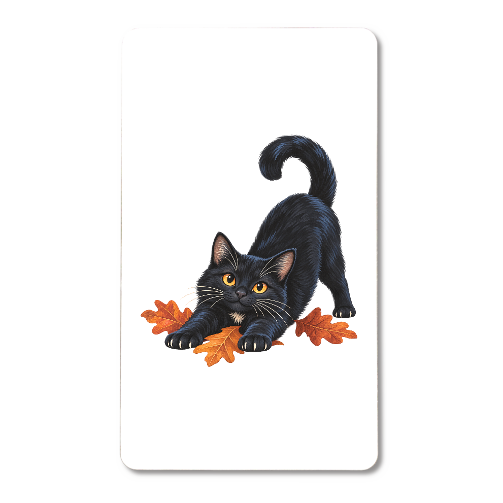 秋ののびのび|落ち葉と黒猫