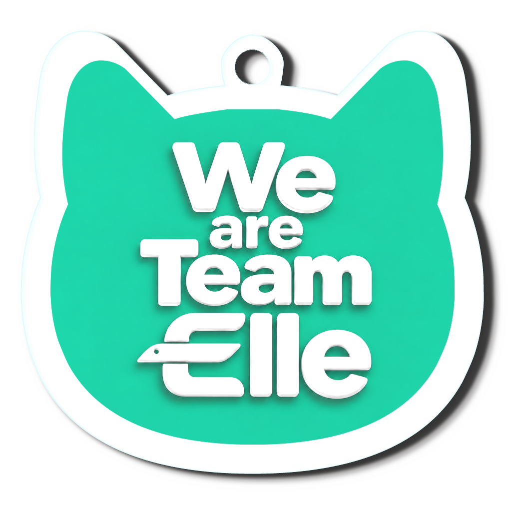 Team Elleキーホルダー(緑猫)