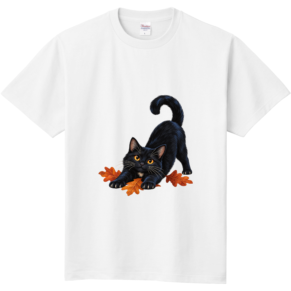 秋ののびのび｜落ち葉と黒猫