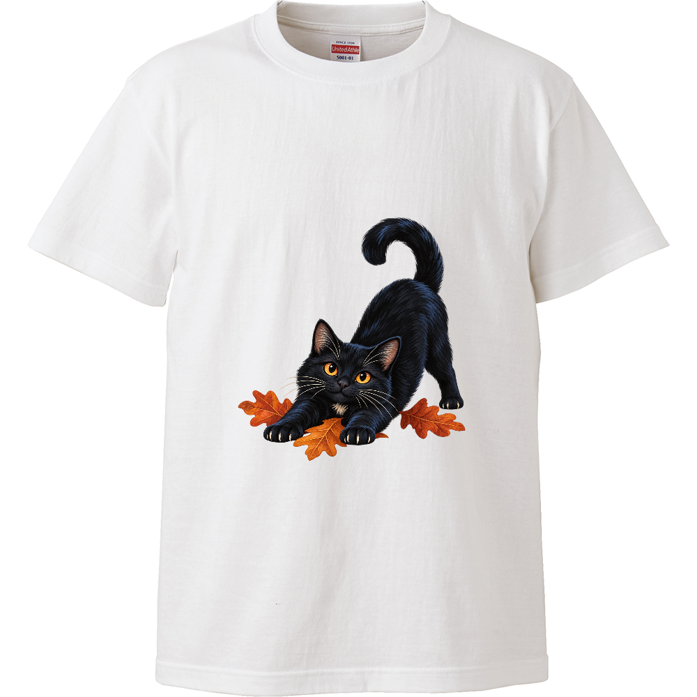 秋ののびのび|落ち葉と黒猫