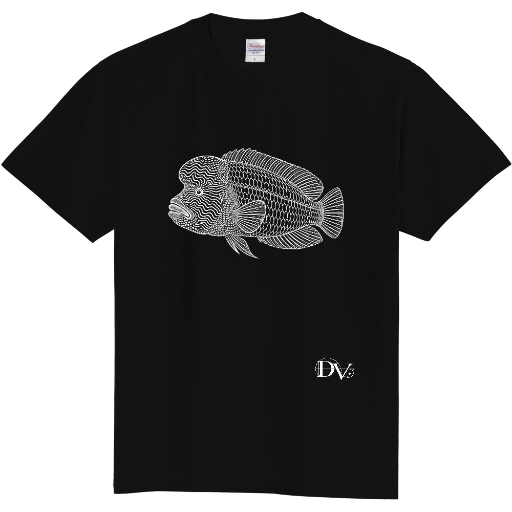 Tシャツ/ナポレオンフィッシュ/ブラック☆