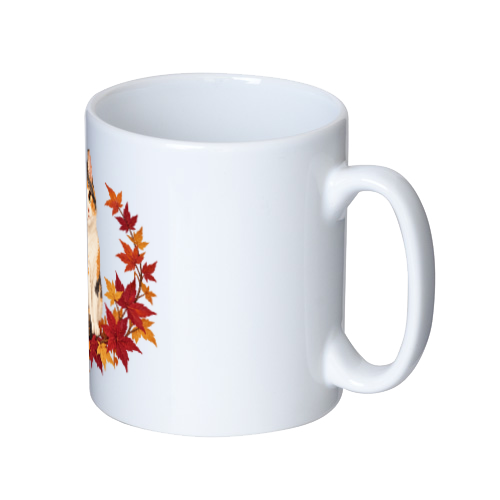 紅葉のぬくもり｜もみじと三毛猫