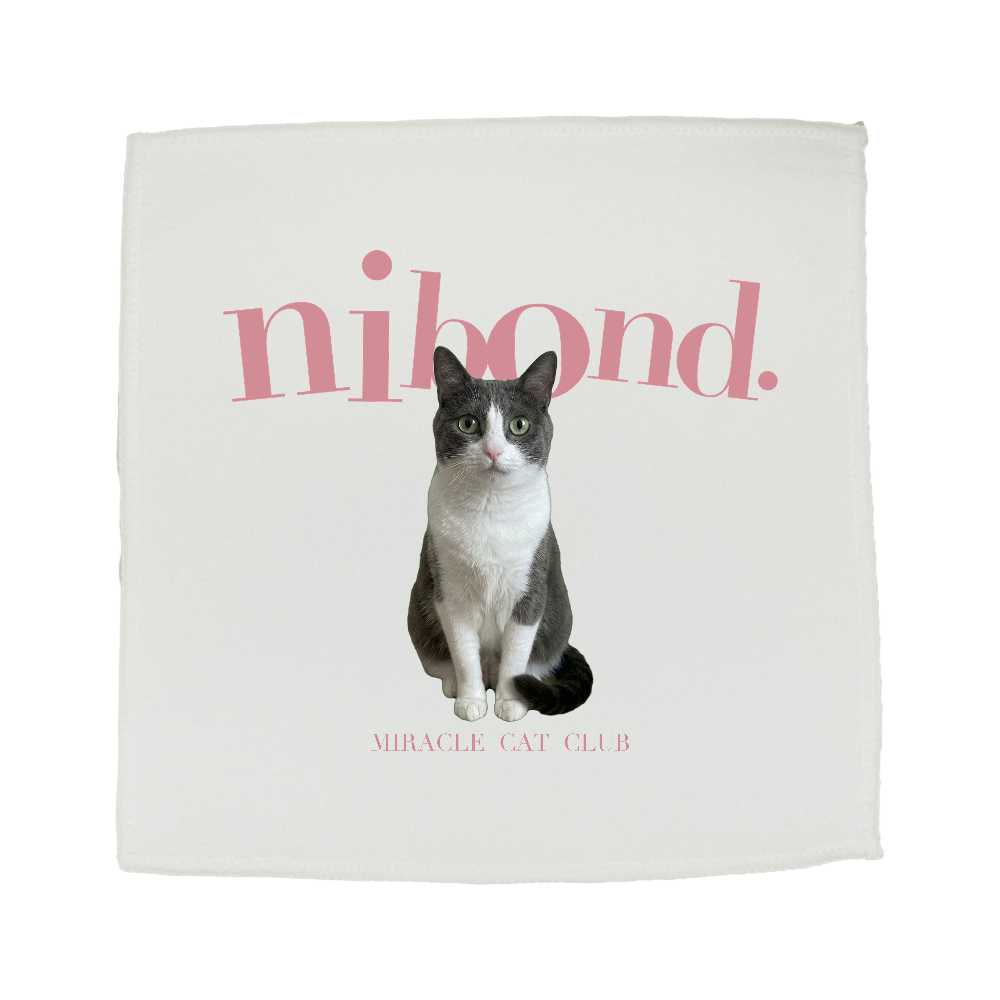 nibond. miracle cat club ミニハンカチタオル