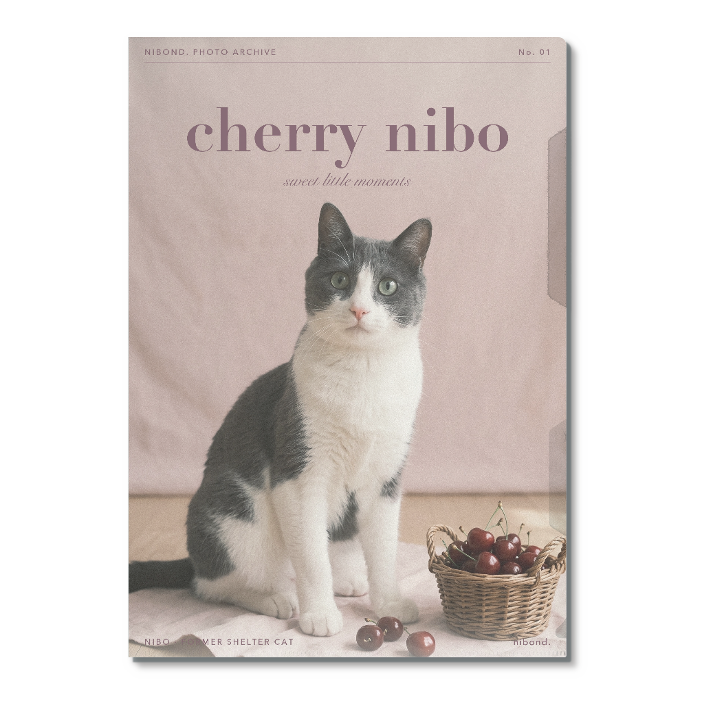 cherry nibo A4クリアファイル（さくらんぼとにぼ）