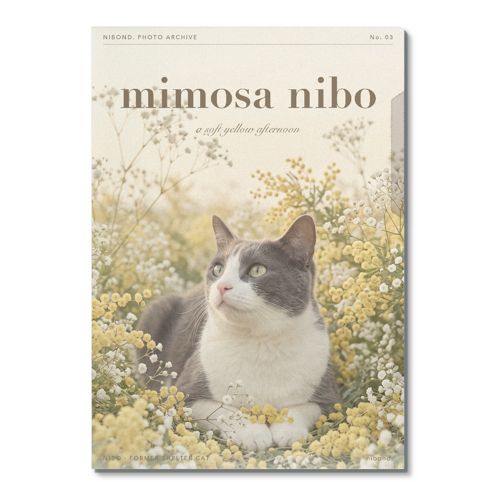 mimosa nibo A4クリアファイル（ミモザとにぼ）