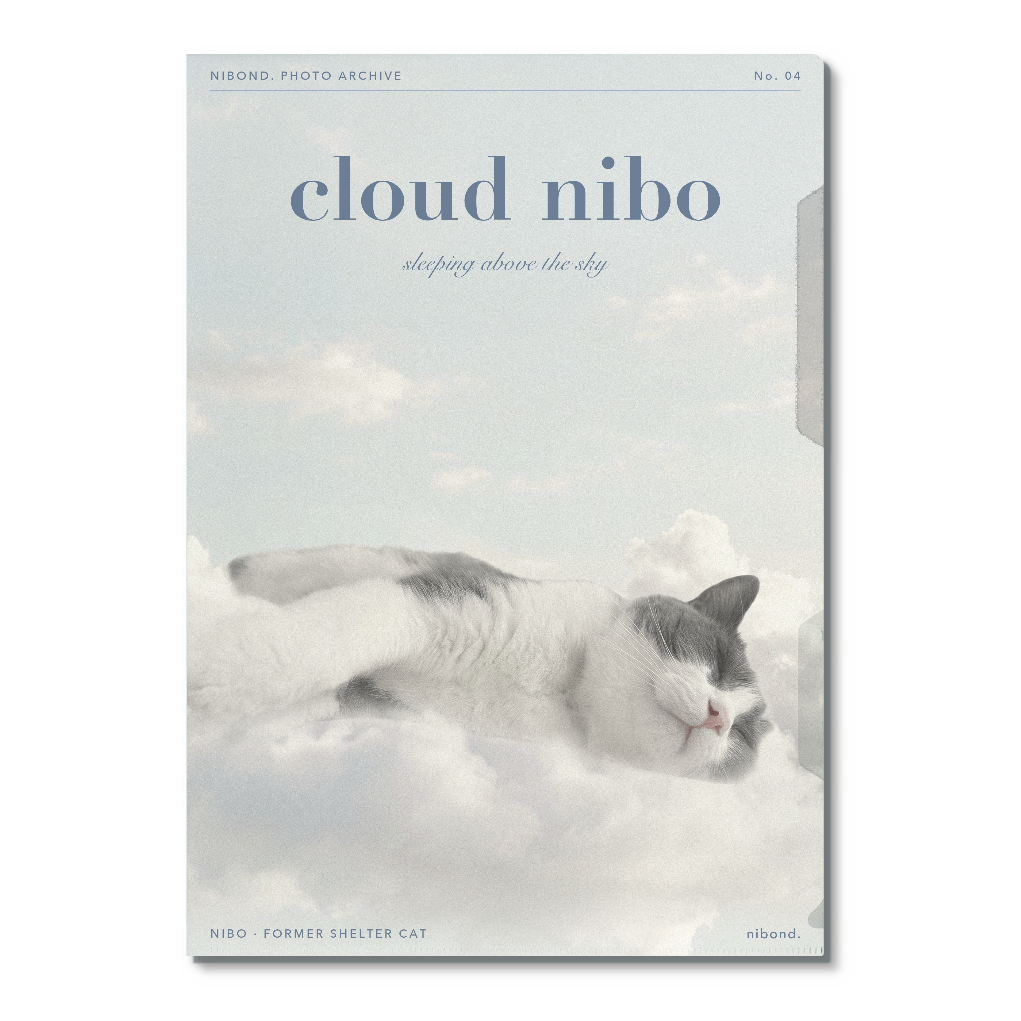 cloud nibo A4クリアファイル（雲の上のにぼ）