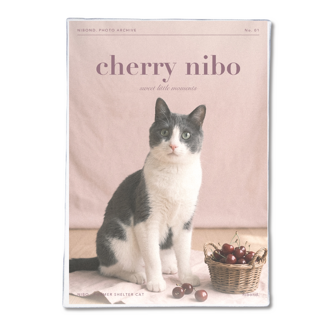cherry nibo アートパネルB5（さくらんぼとにぼ）
