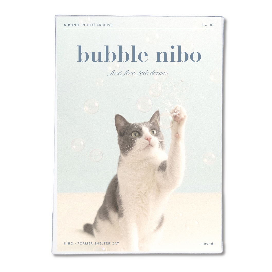 bubble nibo アートパネルB5（しゃぼん玉とにぼ）