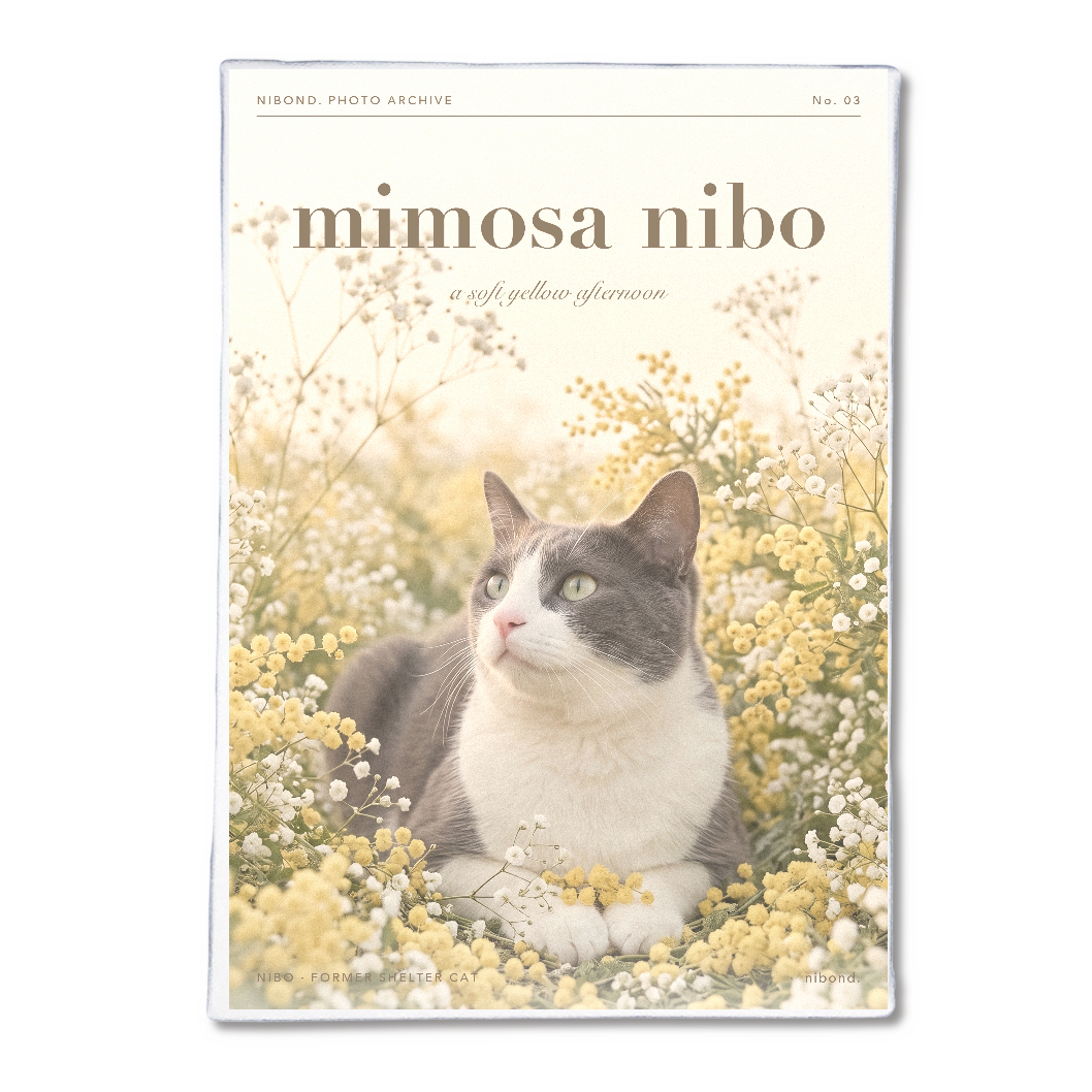 mimosa nibo アートパネルB5（ミモザとにぼ）