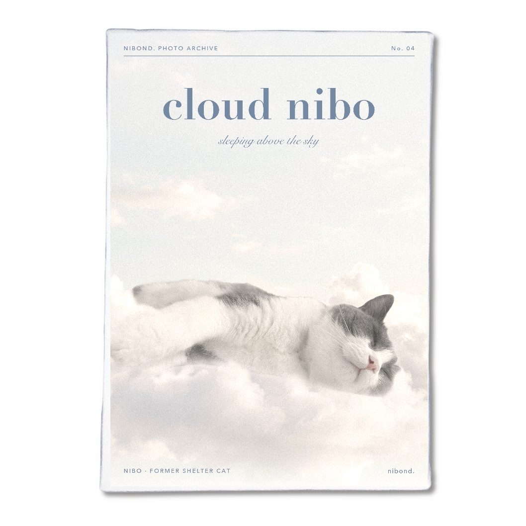 cloud nibo アートパネルB5（雲の上のにぼ）