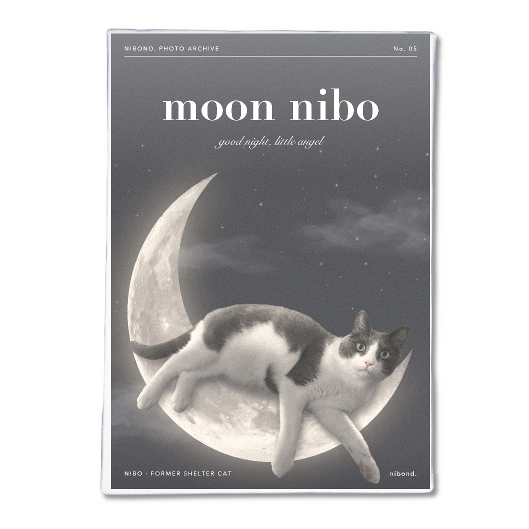 moon nibo アートパネルB5（三日月とにぼ）