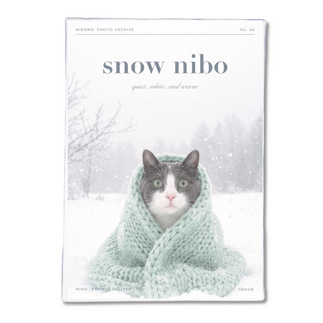 snow nibo アートパネルB5（雪の日のにぼ）