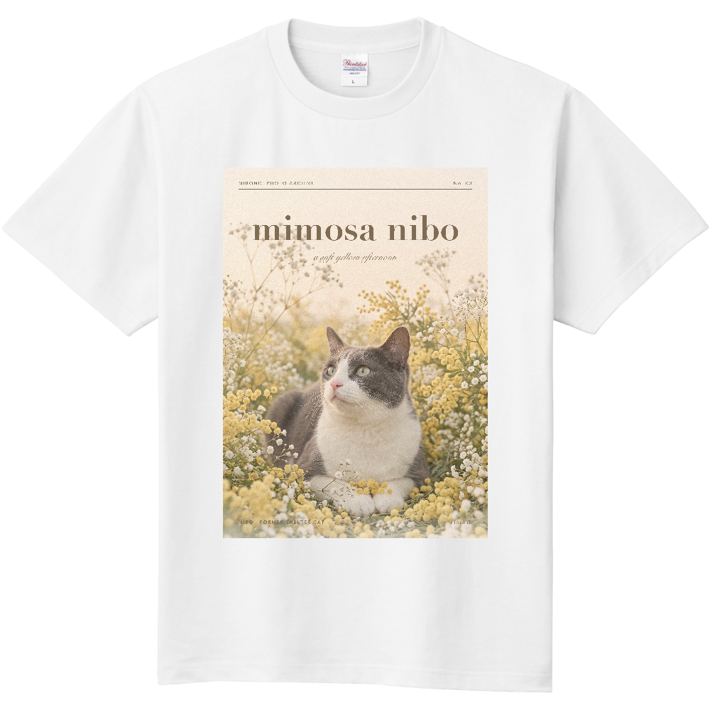 mimosa nibo フォトT（ミモザとにぼ）