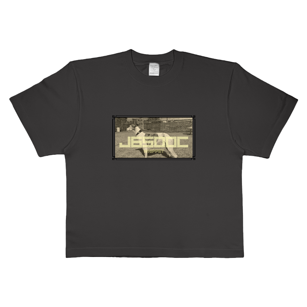 5.6オンス ハイグレードコットンクロップドTシャツ※4営業