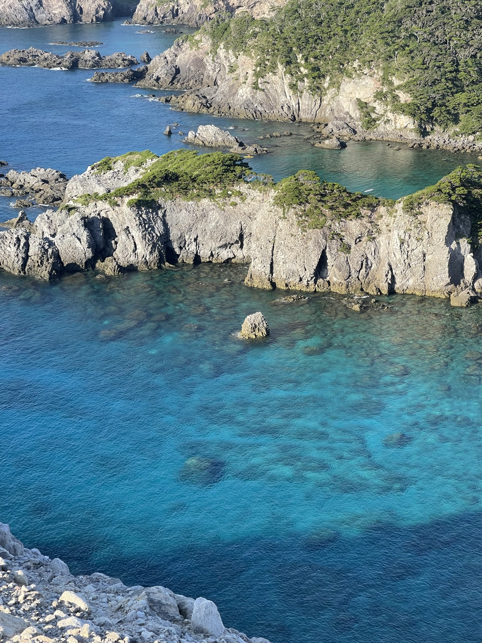 式根島マガジン